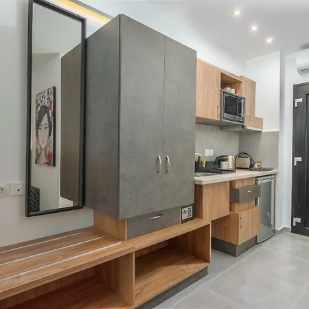 Dandelion 아파트호텔 4*