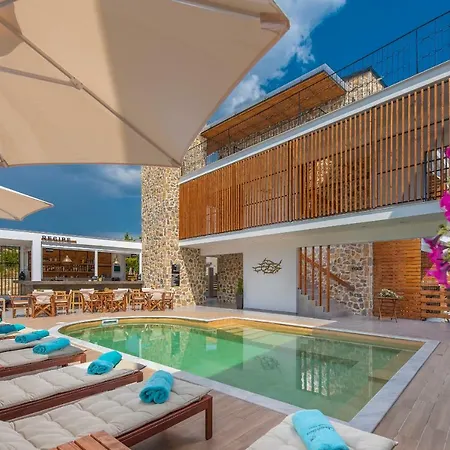 Dandelion 4* 니키티