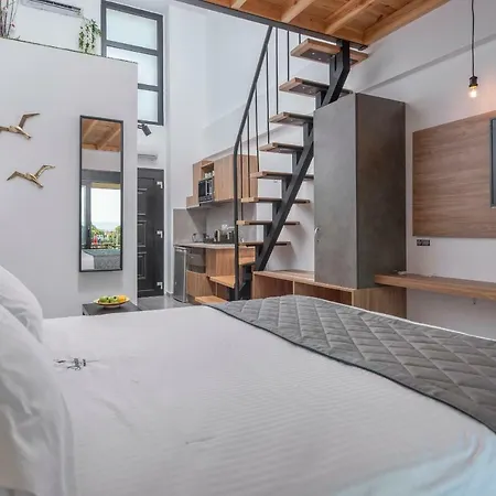 Dandelion מלון דירות ניקיטי