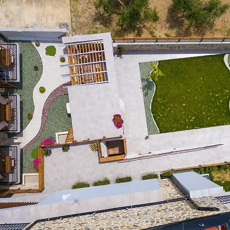 Dandelion ニキティ