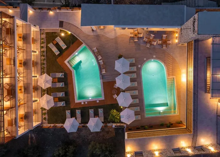 Dandelion Nikiti (Sithonia)