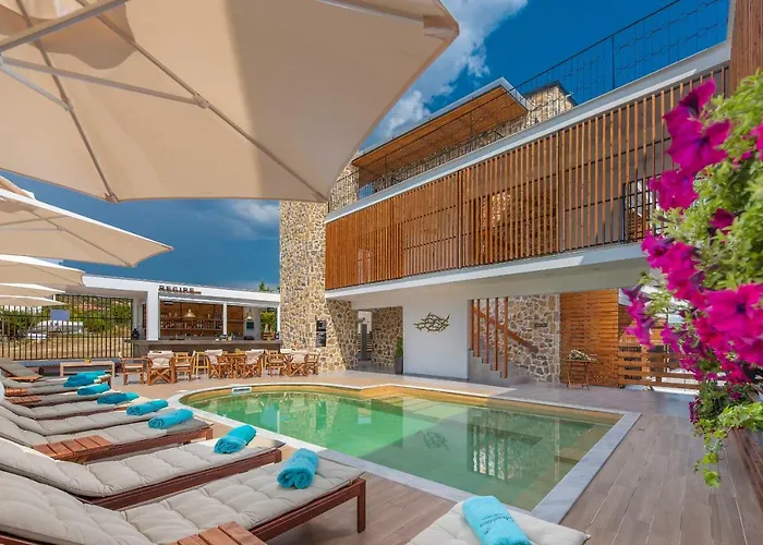 Dandelion 4* Nikiti (Sithonia)