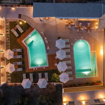 Dandelion Nikiti (Sithonia)